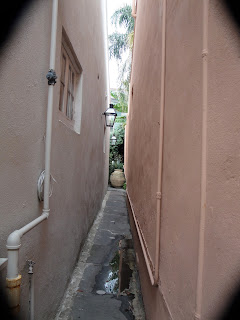 A secret garden, way in the back, in the French Quarter of New Orleans.