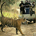 The Tiger Safari in India