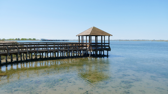 spiagge veneto