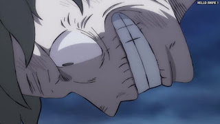 ワンピース アニメ 1072話 ルフィ ギア5 反動 ニカ Luffy GEAR 5 NIKA | ONE PIECE Episode 1072