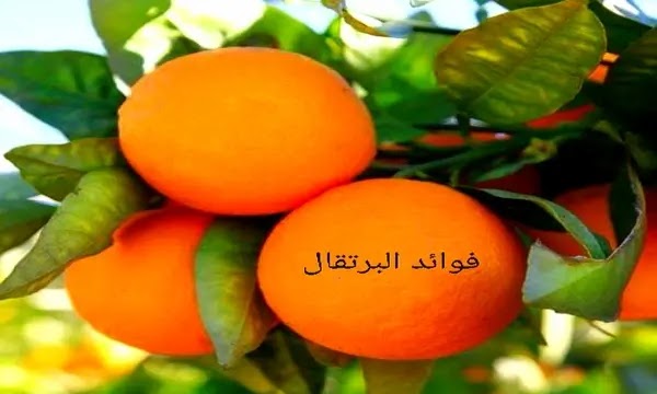 فوائد البرتقال
