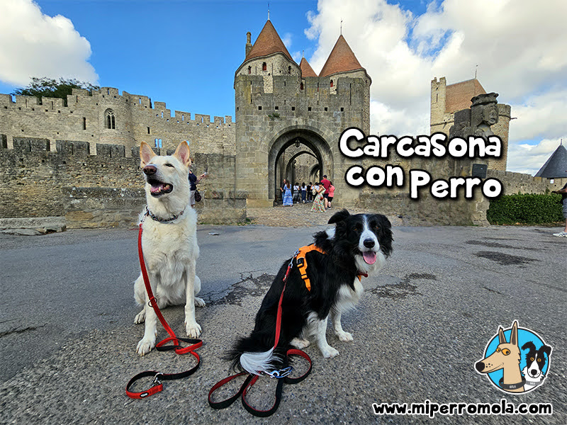 Carcasona con Perros 01 - Porte Narbonnaise