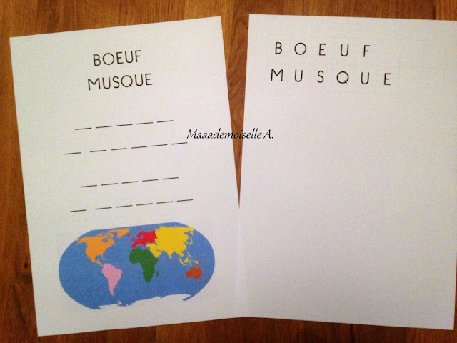 || Activité : Boeuf musqué, collage de laine et aquarelle + fiche d'écriture