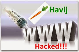 hack-websites-havij