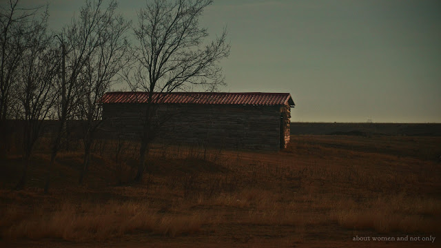 fotografii mediul rural