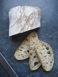 Ciabatta bread