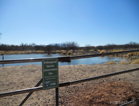 29. cienegas-kab