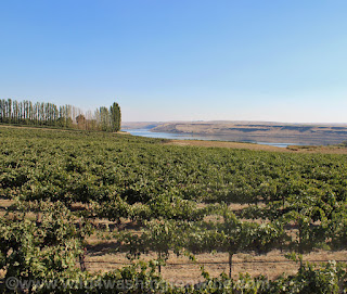 view of Snake River