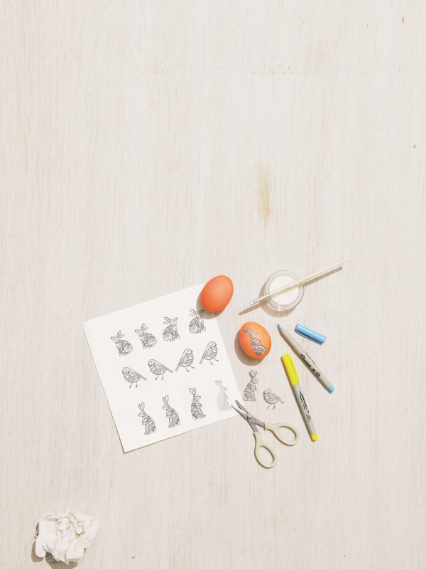 Mhow-to-illustrated-egg -654-d111784