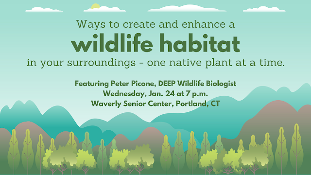 Ways to create and enhance a wildlife habitat in your surroundings - one native plant at a time.