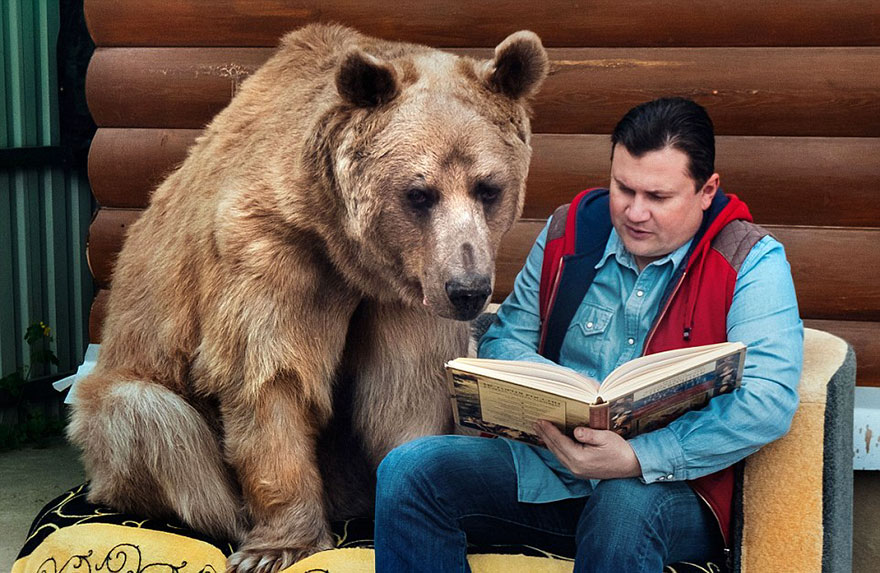 Russian Couple Adopted An Orphaned Bear 23 Years Ago, And They Still Live Together - “We have never been bitten by Stepan”