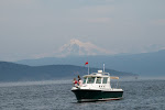 Whale & Wildlife Tours