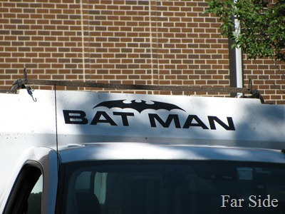 The Bat Man