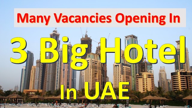 Jobs Opportunities In Dubai | Directly From 3 Big Hotel | Dubai Careers| 