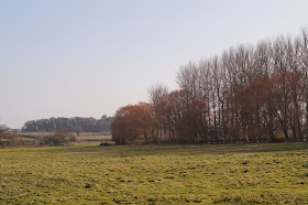 Walking near Burnham Market at Creake Abbey