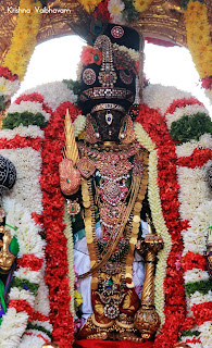 Kaanu Purappaud,Dharisanam, Sri PArthasarathy Perumal, Perumal, Venkata Krishna , Varushotsavam, 2018, Video, Divya Prabhandam,Triplicane,Thiruvallikeni,Utsavam