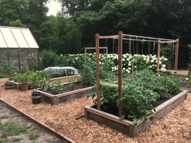 framed  vegetable garden neat vegetable garden ordered garden artist and builder