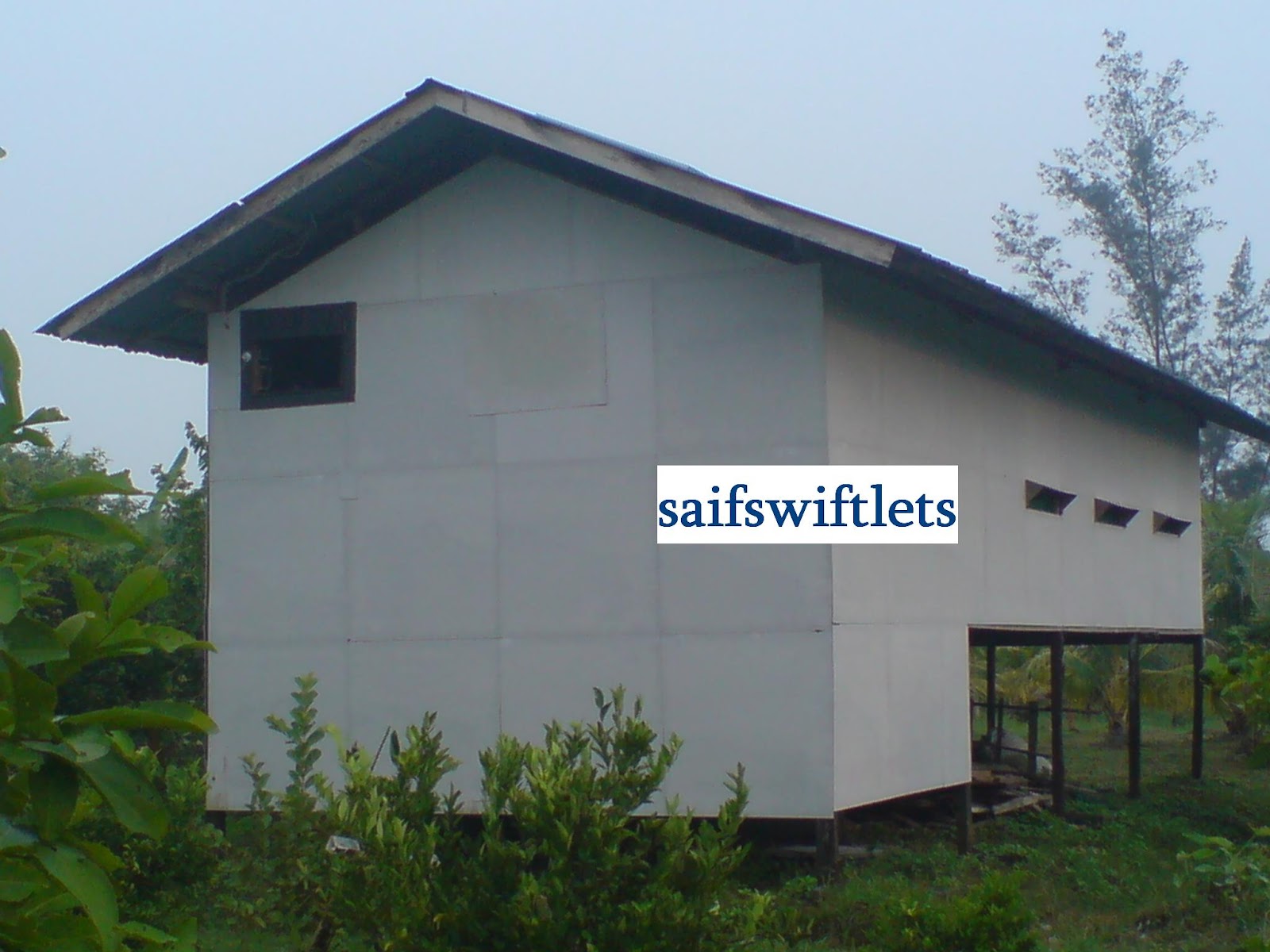 Desain Rumah Walet Sederhana Dari Kayu