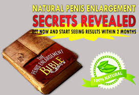 penis enlargement bible pdf