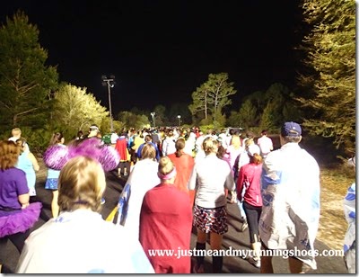 Princess Half Marathon 2015 (39)