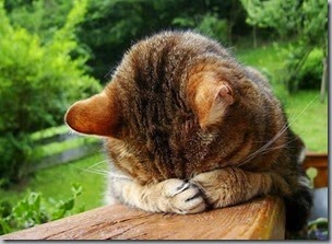 prayers