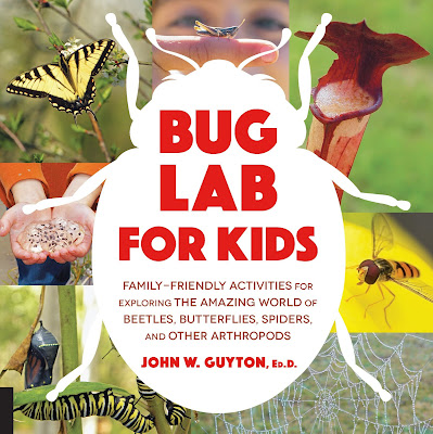 Bug Lab for Kids offers a variety of insect-centered activities and will keep kids busy and engaged! Perfect for summer! #BugLabForKids #NetGalley