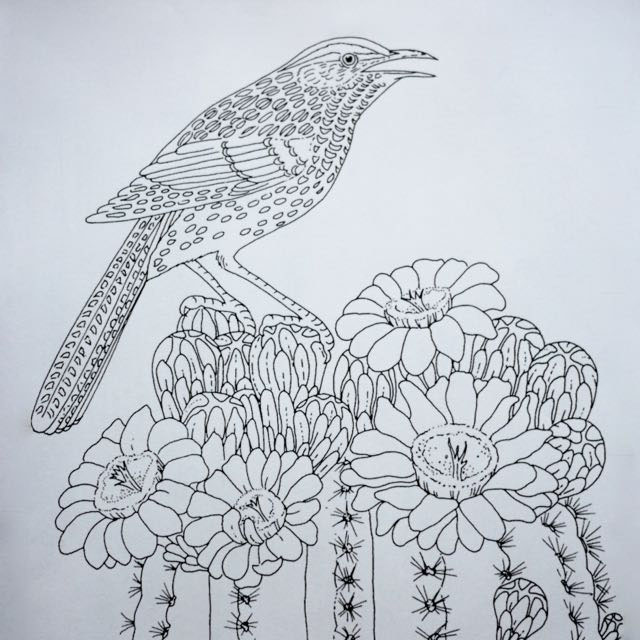 Cactus Wren on a Saguaro from Supercoloring