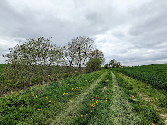 The bridleway alongside Cat Ditch between points 14 & 15