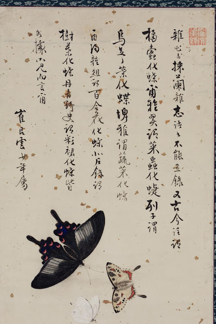 꽃과 나비(花蝶圖),  남계우(南啓宇), 조선, 세로 127.9cm, 가로 28.8cm, 국립중앙박물관