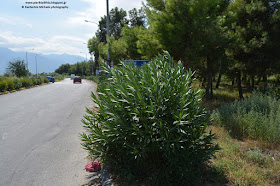 Ορατότης μηδέν...