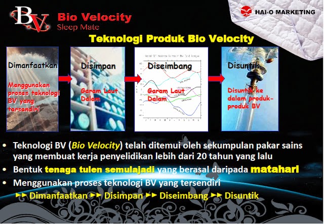 BIOVELOCITY SLEEPMATE(BVSM)