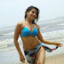 Samantha Bikini Photo In Sikindar