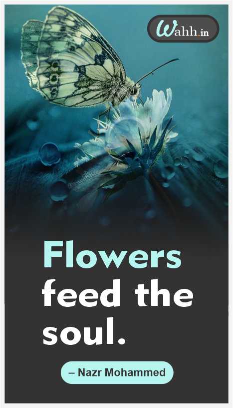 Inspirational Flower Captions In English