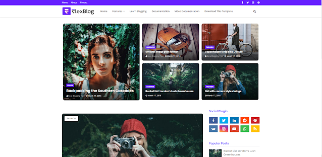 FlexBlog Blogger Teması