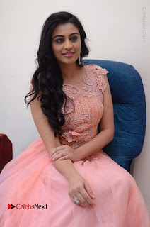 Actress Neha Hinge Stills in Pink Long Dress at Srivalli Teaser Launch  0115.JPG
