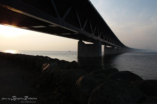 288_20111105_november