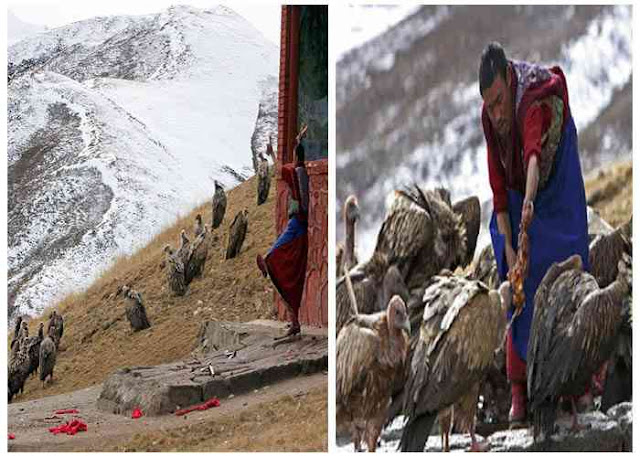 Biksu Lama Pemimpin Ritual Sky Burial