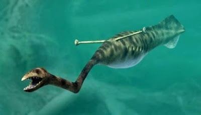 Tully Monster Ternyata Lebih Misterius Dari Sebelumnya