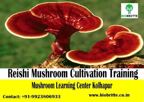 Reishi Mushroom Training | Ganoderma Mushroom Training | 17-19 July 2020