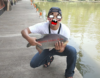 essen ikan bawal harian