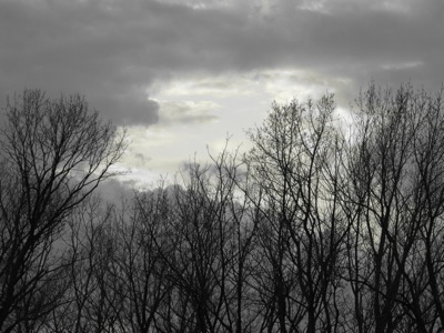 Monochrome sunset