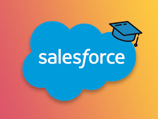  Salesforce Power User Course