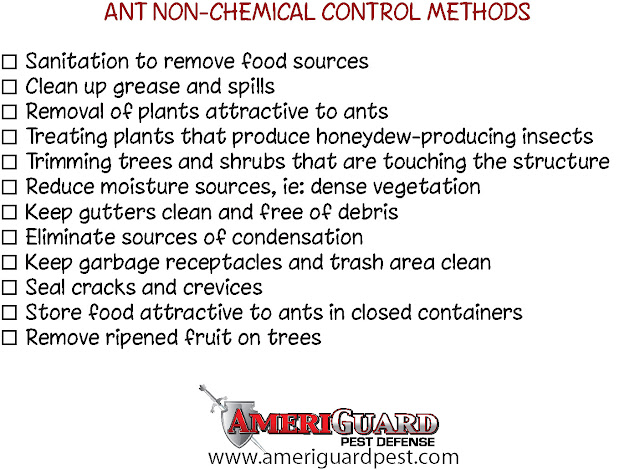 Ant Control Methods