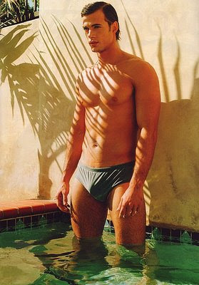 swimpixx: sexy speedos, free pics of speedo men, hot men in speedos and swimwear. Brazilian homens nos sungas abraco sunga