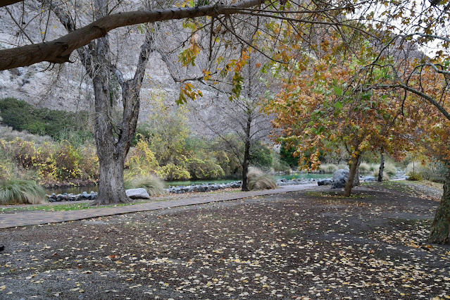 Whitewater Preserve