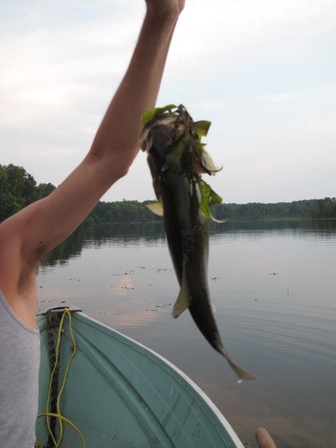 Catch & Release