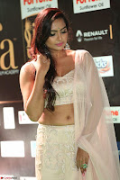 Prajna in Cream Choli transparent Saree Amazing Spicy Pics ~  Exclusive 024.JPG