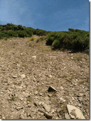 clip_image010[5]