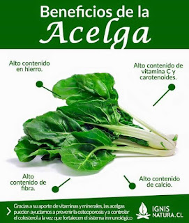 Beneficios de la Acelga