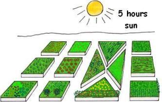 Vegetable garden layout is a